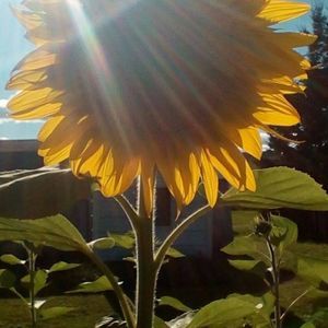 Meet your Posher, Jocelyn